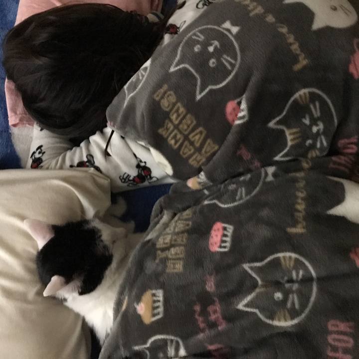 Dfc9e710 0a40 424d b20e d45f785a651e 1516106560685