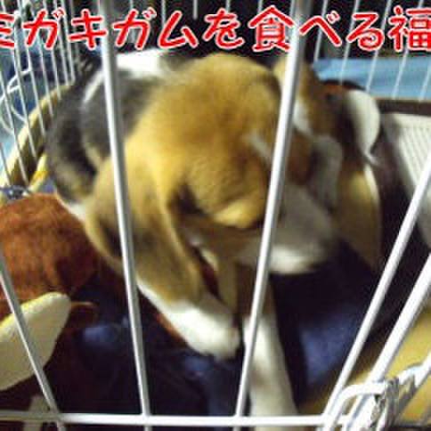 Dfca28fd efc4 4fb0 84c5 3ca74fa1c1da 1683080606950