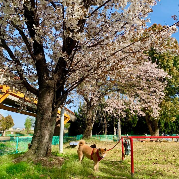 Dfca7bed f847 46f0 8745 0dc2b9fde4a0 1775890305173