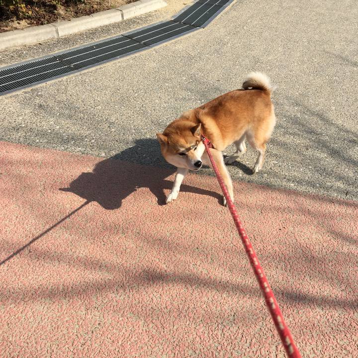 Dfca948a f3b9 4688 98b1 f133acbadd54 1540171738082