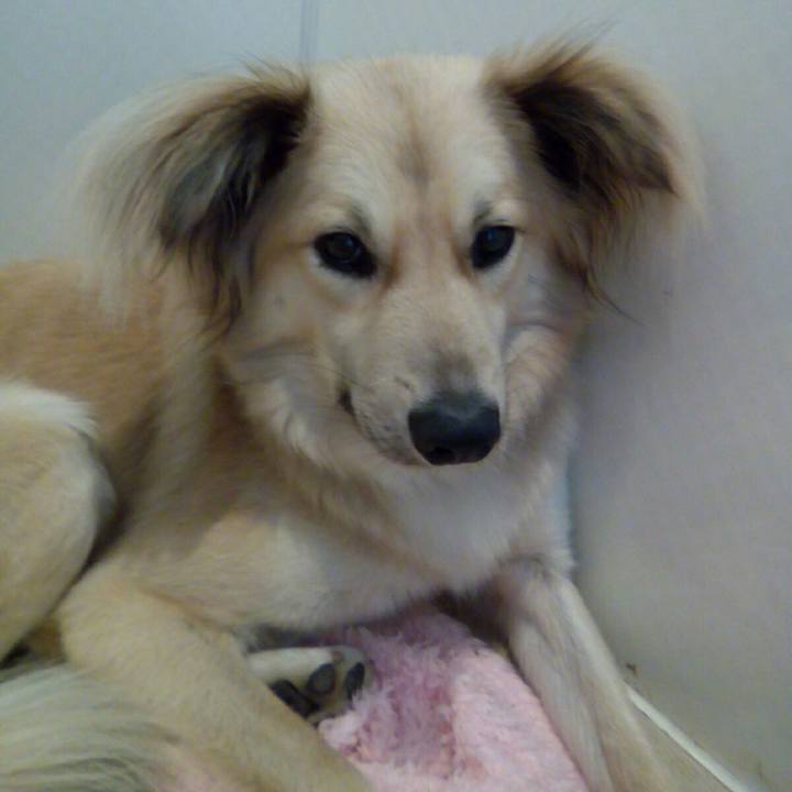 Dfcacf67 3f0f 4902 b072 76f398d81433 1532753244628