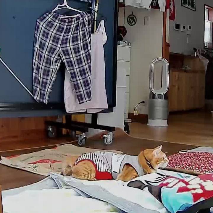 Dfcaf92d febb 4ee5 9cfd 4c22744da324 1602045261394