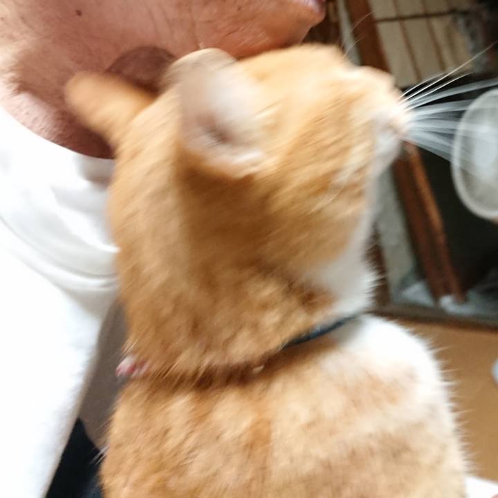 Dfcb89f2 bf52 4440 b717 229e8cc2454e 1600634280504