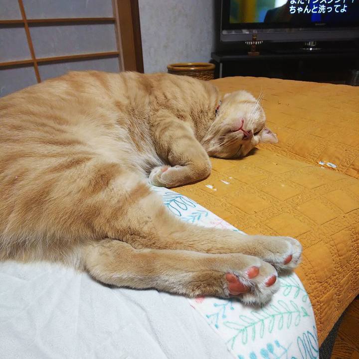 Dfcb95db b3b5 4dc8 a20c ddf4d2e0c666 1598871588549