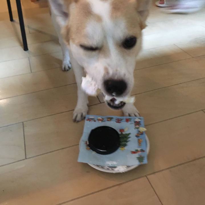 Dfcbb397 6659 48a3 96ae d8e3e9f936d1 1545647998248