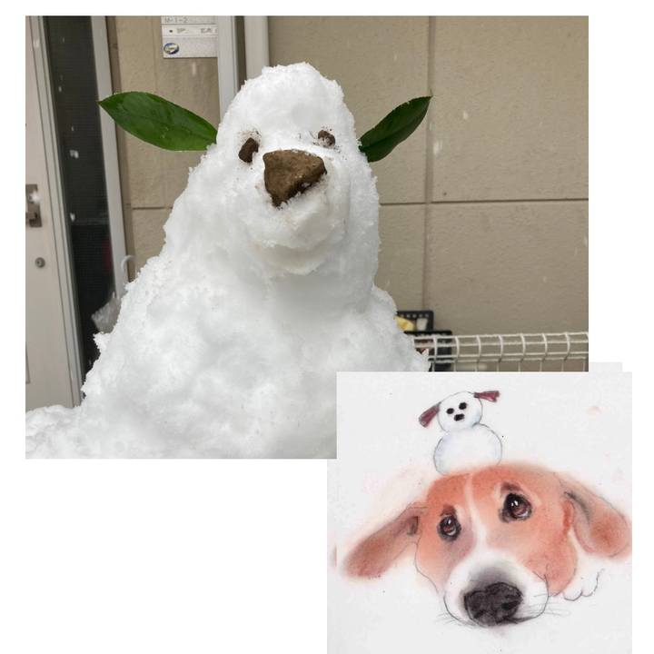 Dfcbfa06 faa1 414b 92c4 c0a6828dd512 1676035544096