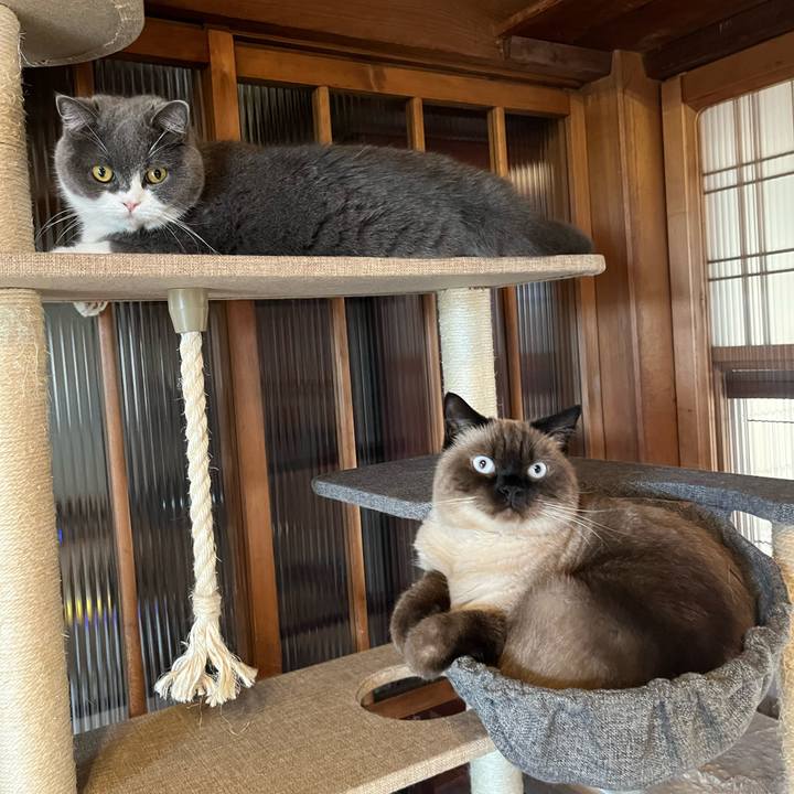 Dfcc1471 1a52 4f14 b570 e6a45f195b3b 1634429406691