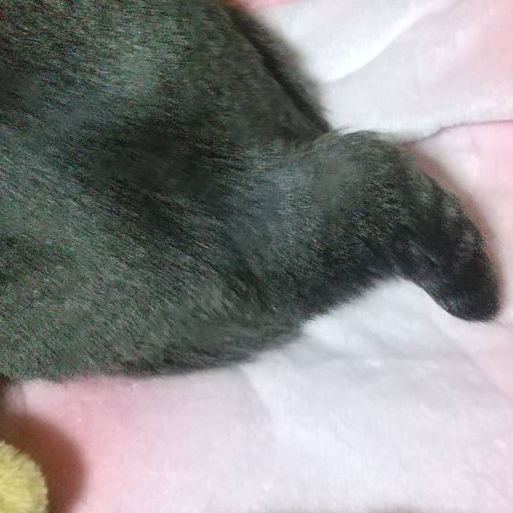 Dfcc33ed 5e32 4860 b2ce 603cee2181d6 1674136422995