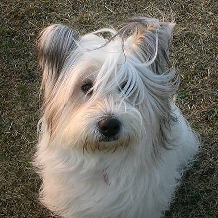 Dfcc3580 70f4 4aec b81a a2aa39c1855a 1555072302727