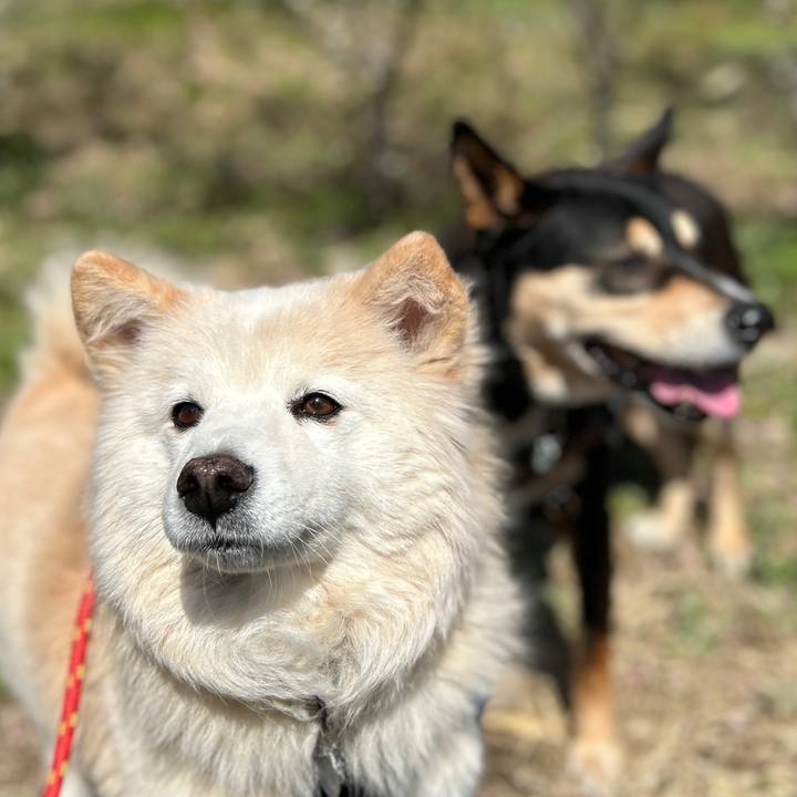 Dfcc389c 895a 48ad 8f14 aec613dece83 1741505468016