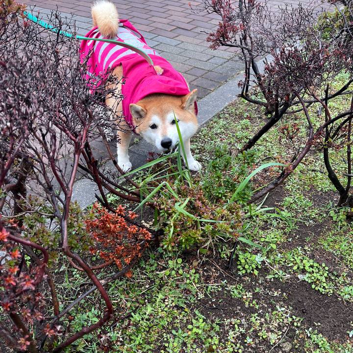 Dfcc3a35 a8a7 43ab 9769 30833f939230 1708487805883