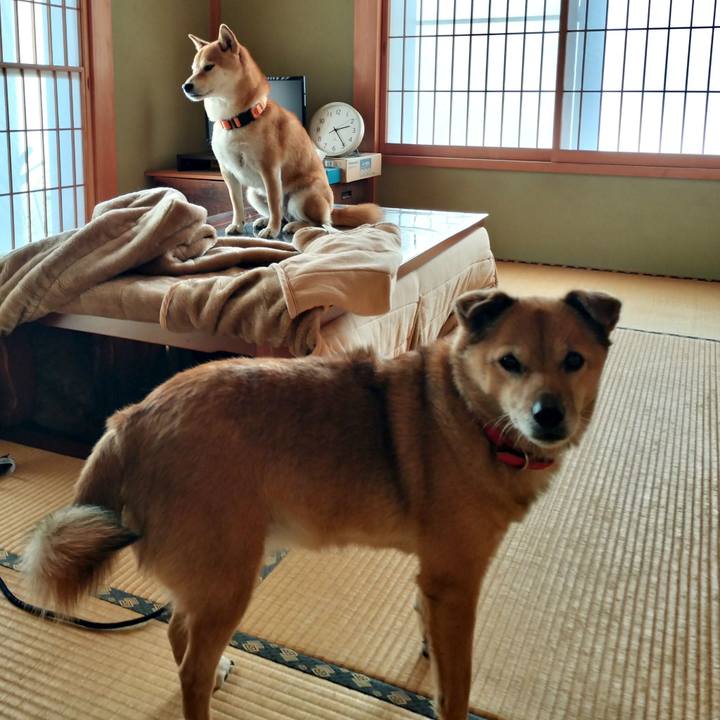 Dfcc907a 9c67 4e46 af03 2eeda172dc3b 1766147437886