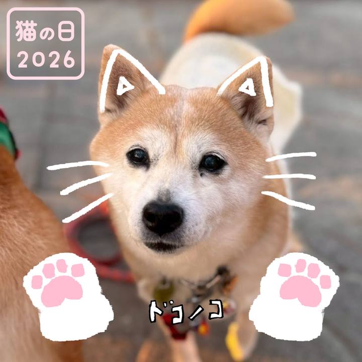 Dfcca54c c2ed 4e37 a32e 628938d77bdf 1771710127434