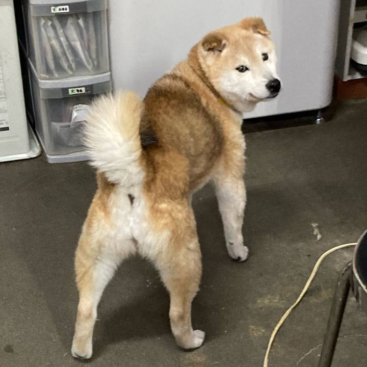 Dfccc5c9 344b 470e 8726 736e5d5a8e3b 1647334656952