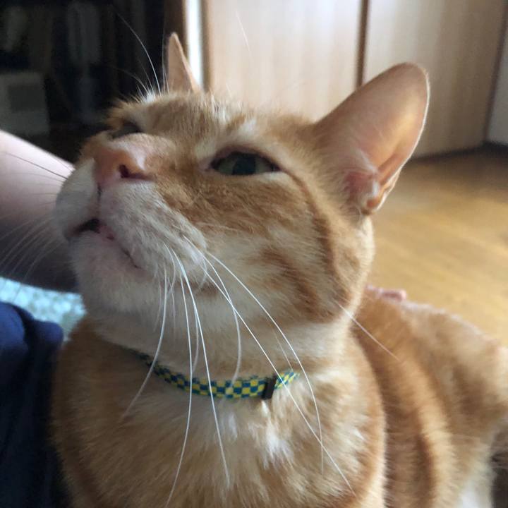 Dfcccd40 a7f6 40d1 9cb5 f91e4b78ffed 1724057153622