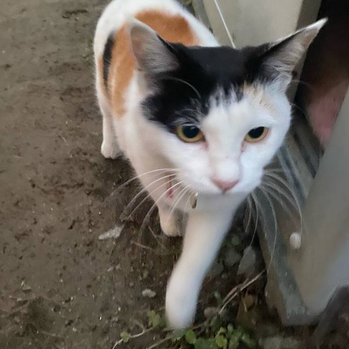 Dfcd20fd 0343 4270 94f2 ee61d05283cd 1638741254659