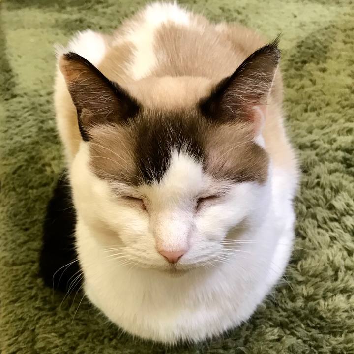 Dfcd27a1 11dd 4fae b24a 324dd65de585 1571992042788