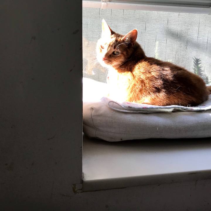 Dfcd2f69 8e9e 4d45 8204 e7b5b31846b3 1585795275429