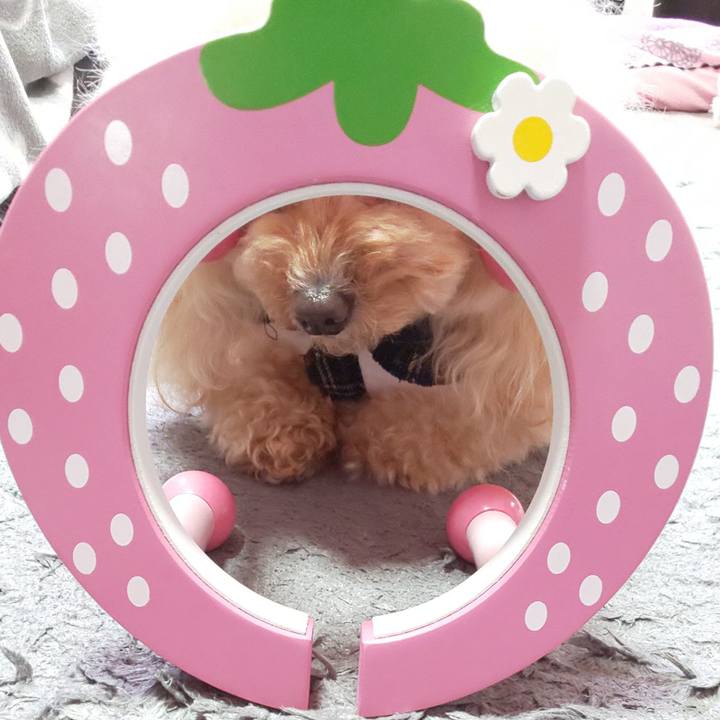 Dfcd5f0b 3467 450b 8564 d572ce204269 1647662729159