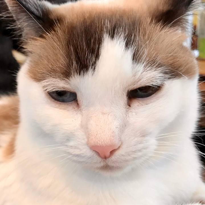 Dfcdb3f6 c1cc 4c46 a0a0 417c02ca2e97 1575337879304