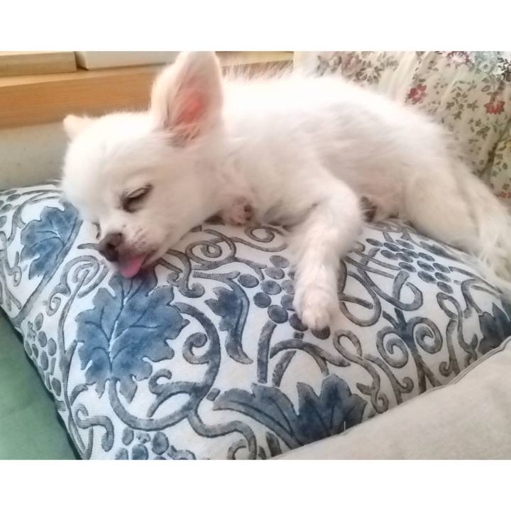 Dfce1185 c18e 4f29 bb26 c4b8551b363a 1630724253274