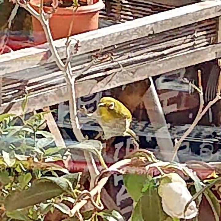 Dfce36a8 94f8 4eb3 8d63 706593582ad8 1610095249001