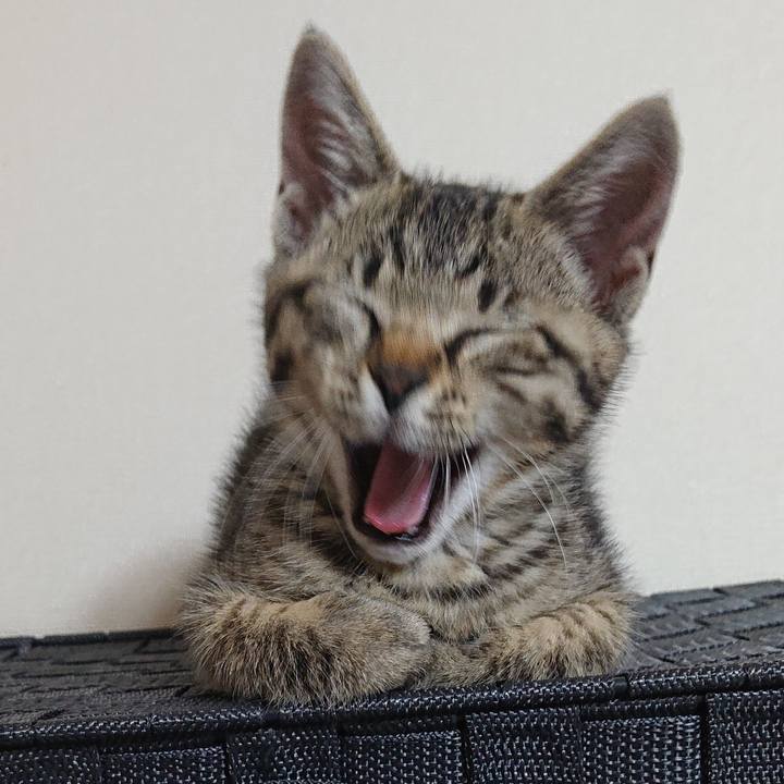 Dfce4ecf c5a1 4d70 a0fd 65e2e739cc1a 1560916305490