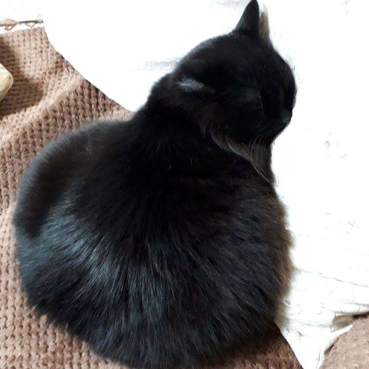 Dfce84f0 bfd4 45fd 8e2c 070466ec0f9c 1518371851727