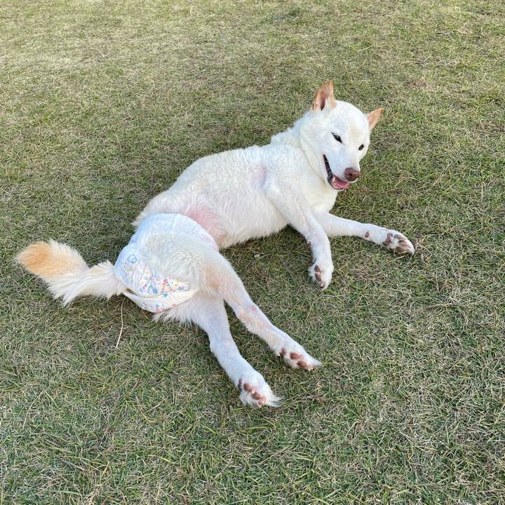 Dfce8ef4 2504 4e74 af7f 49b121e5fdb5 1668065581799