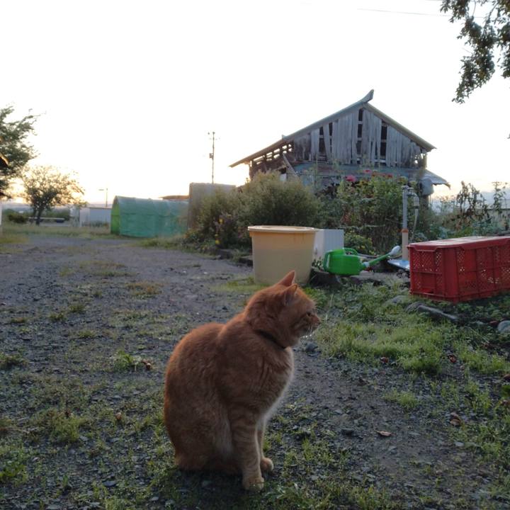 Dfcea0de 3c92 42cf 9e65 bb4d7a5aa57a 1696285824529