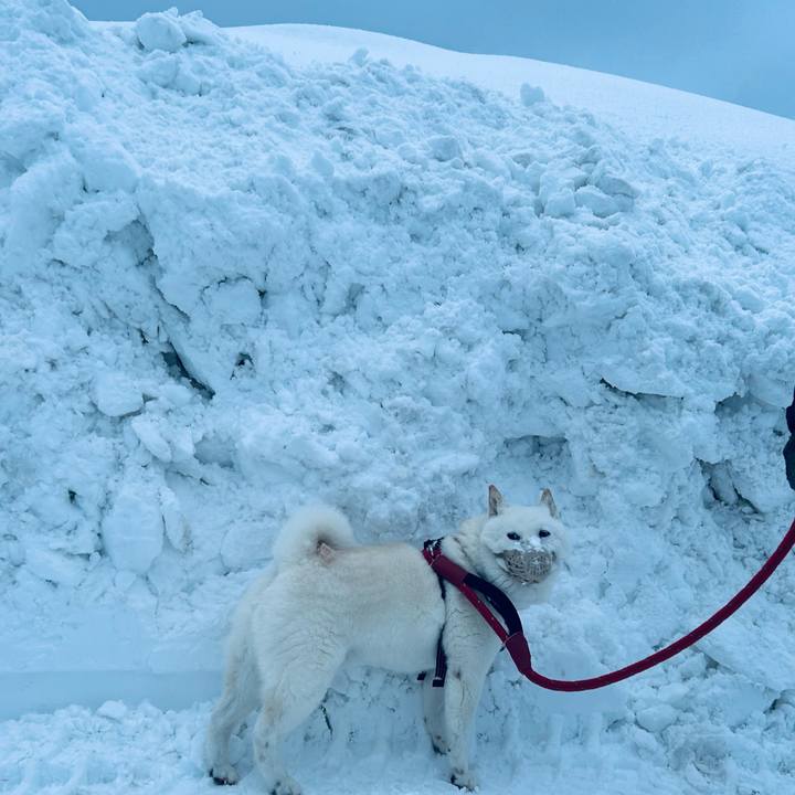 Dfcec358 75f3 442c a2a3 55acaa2580c1 1706308549894