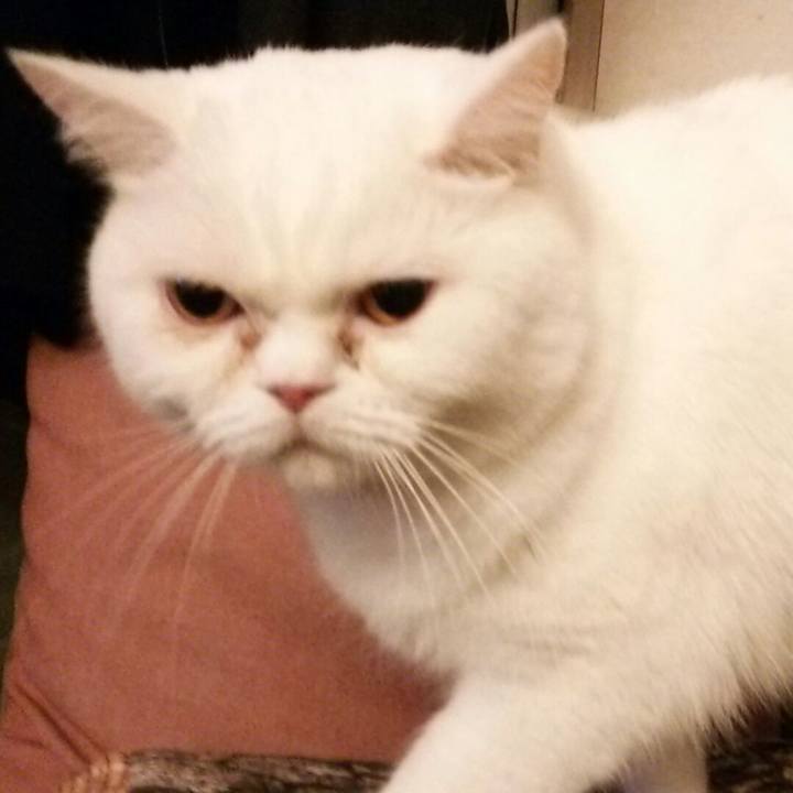 Dfced527 1753 4d5f aa46 faa1020498a1 1519482213935