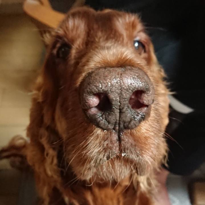 Dfceeea3 5e76 4969 be8f 4acd1e87a82a 1563284074704