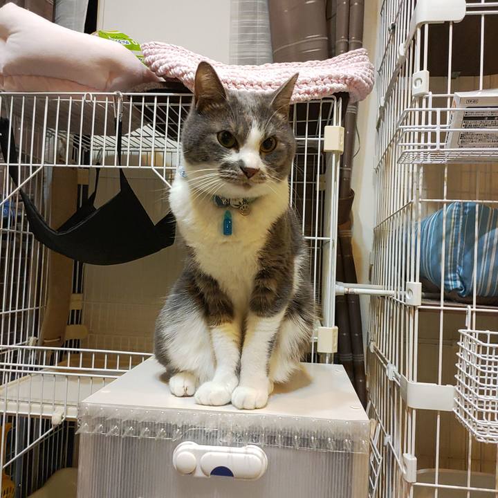 Dfcf180f d80a 42dc 90fe e0db5d04b5db 1676382057137