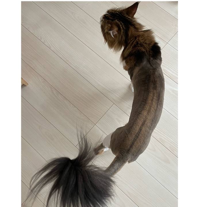 Dfcf27a5 5610 4d60 bf31 6c99a1d5258d 1687044263752