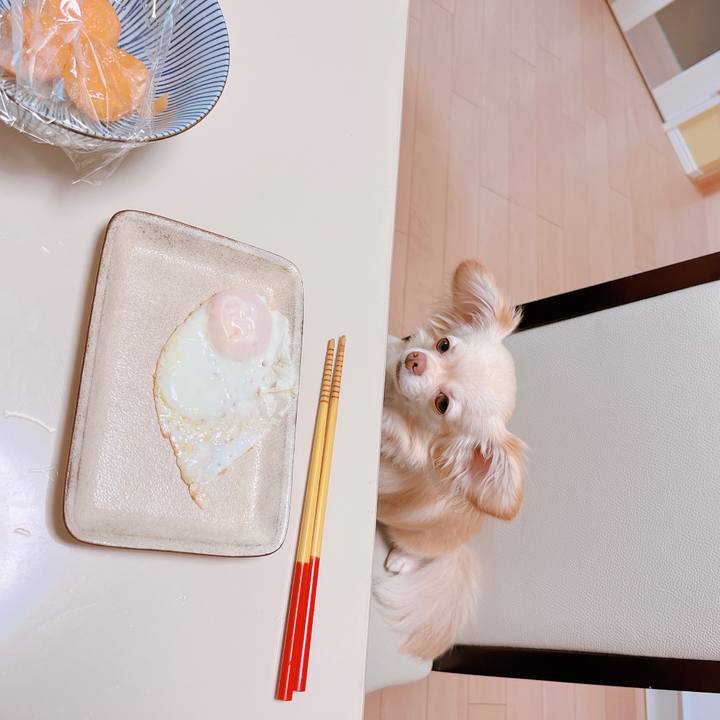 Dfcf35c2 b2a4 4d6b 836d eb07dc99e1e4 1655608627747