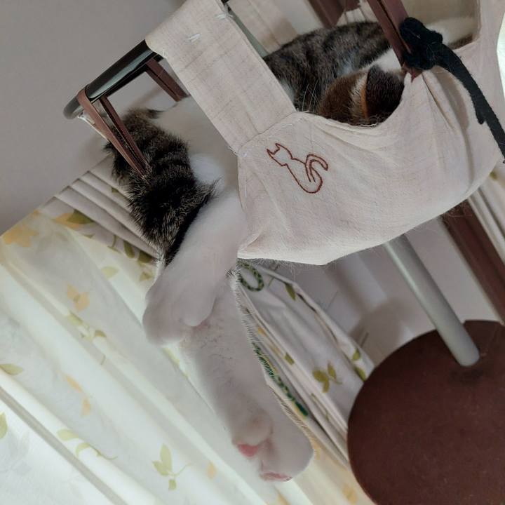 Dfcf3f94 251a 4ff9 bdd2 35b3b4852c26 1627249550129