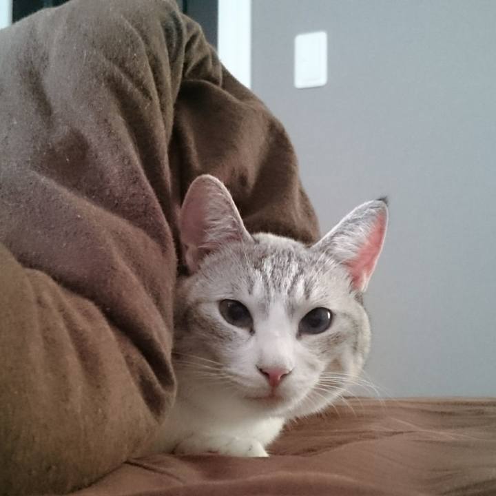 Dfcf4d7a ec4a 45d4 a2af 7a9ce80a8d12 1543204360562