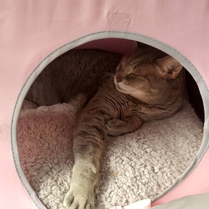 Dfcf5a91 3937 46cc ba3f b8795410c868 1667693143910