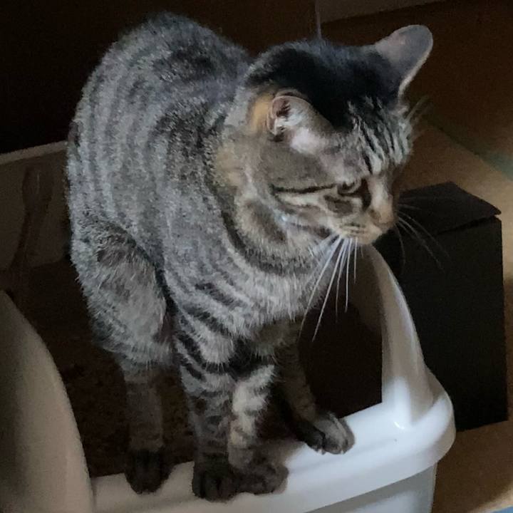 Dfcf6019 f369 4594 80cb d969f29c29ea 1630565468081