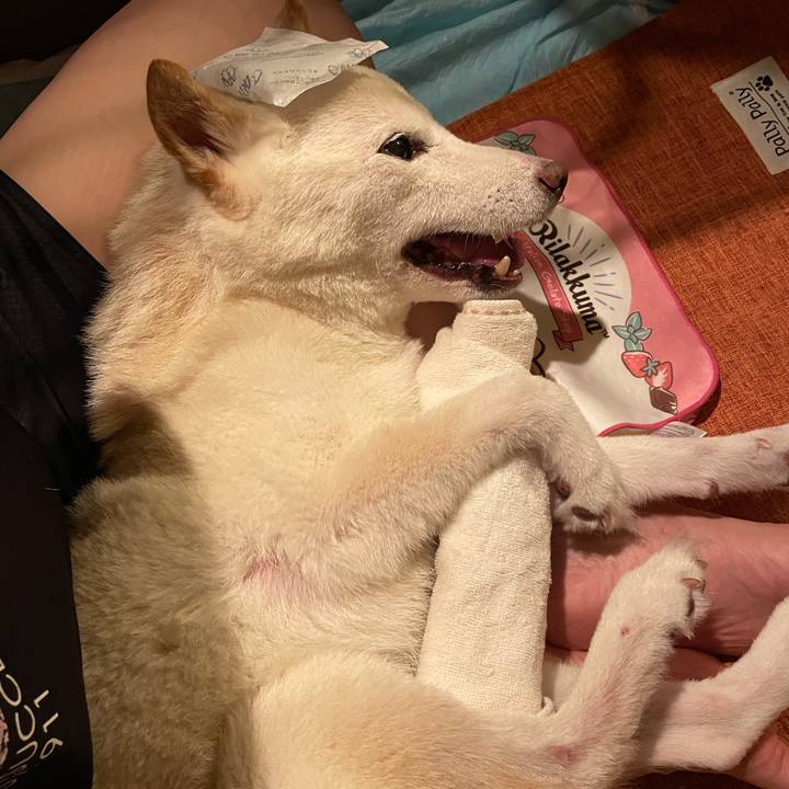 Dfcf80cc 892c 44b4 992b 96149e88abae 1665087905558