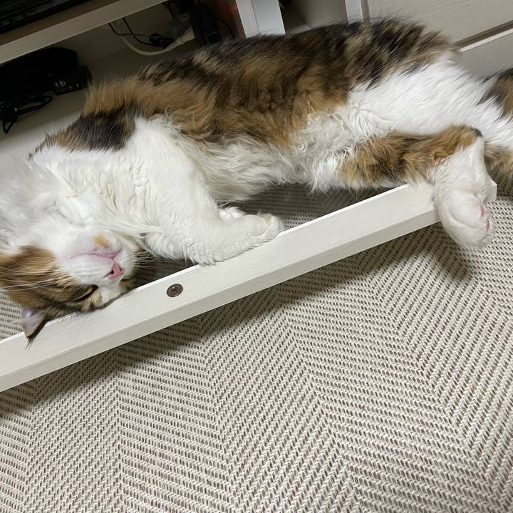 Dfcf8f5b de4e 45ab aba0 53a8d61fe66f 1652878505797