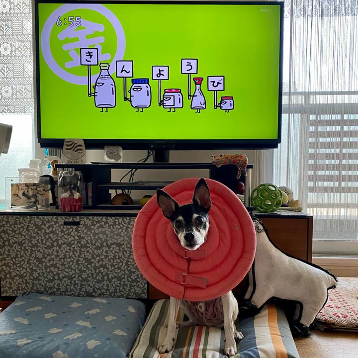 Dfcfd04b 69e2 4f21 8b36 13b0ad757bd2 1633645749482