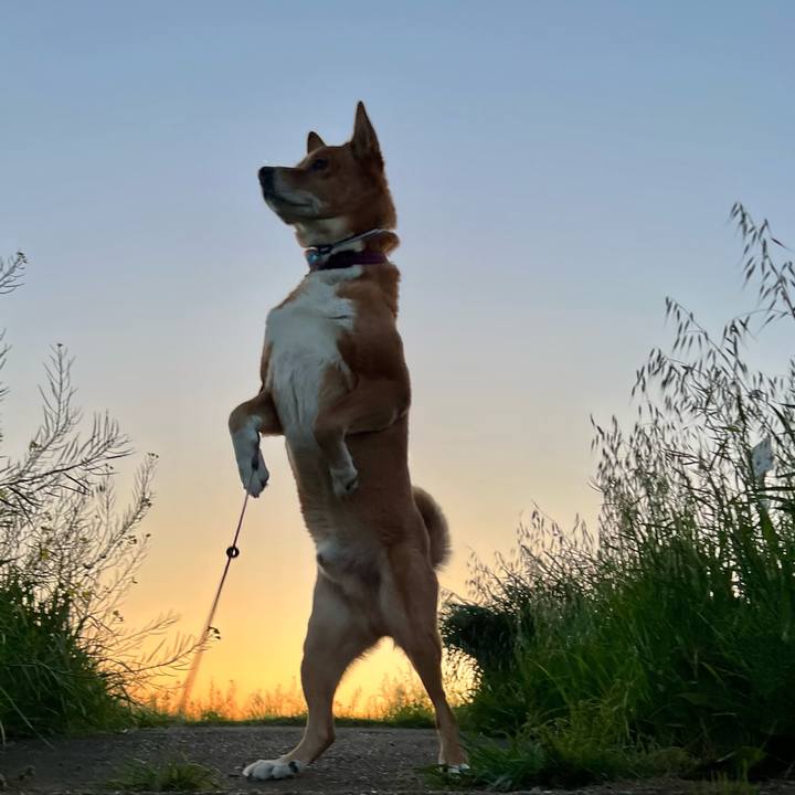 Dfcfebf9 81df 4626 8a05 c7dfe1100a70 1681032997003