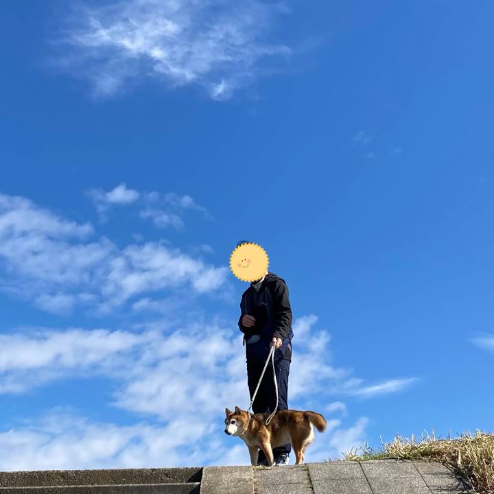 Dfcfeee6 a83b 4308 b747 e7a58cedc744 1731123577914