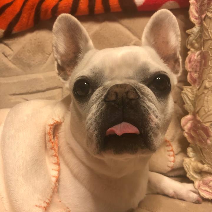 Dfcfff06 98c5 403f 9f21 0b6c2a6eb022 1650375581022