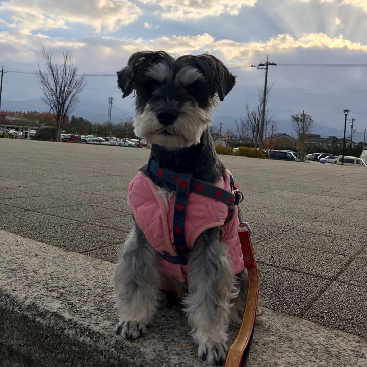 Dfd02126 0a50 4d1e 9d47 4eb2af55afe4 1669511709909