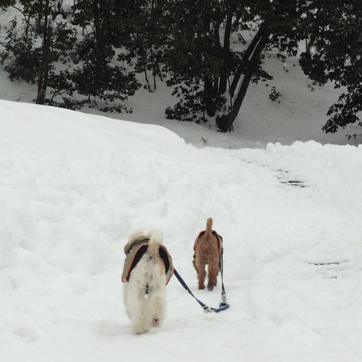 Dfd0336e 4d0c 4144 adfa b98853b1be82 1517217047569