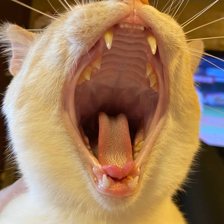 Dfd04404 be59 4c56 829e efe388223160 1652601738115