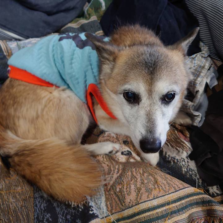 Dfd0671f 2bc0 46e1 859a 043bc50252ef 1741576446455